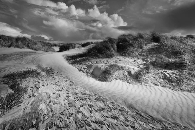 Windswept dunes