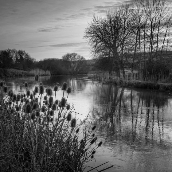 River Arun at South Stoke